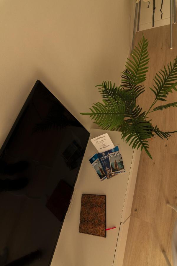 La Terraza De La Vega - Ubicacion Inmejorable , Wifi , Terraza Y Parking Gratuito Daire Oviedo Dış mekan fotoğraf