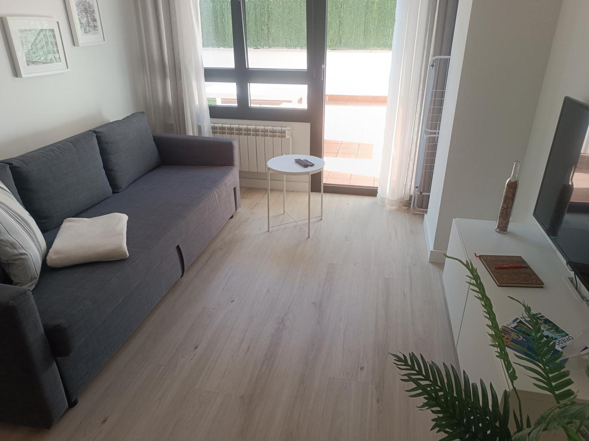 La Terraza De La Vega - Ubicacion Inmejorable , Wifi , Terraza Y Parking Gratuito Daire Oviedo Dış mekan fotoğraf